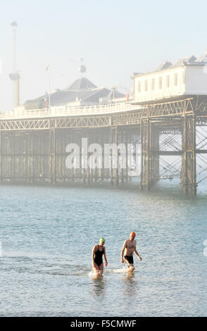 Brighton, Sussex UK entstehen Montag, 2. November 2015 - Mitglieder von Brighton Schwimmverein aus dem Meer und dem nebligen Wetter Brighton Pier (ehemals Palace Pier) früh heute Morgen um 08:00, die der Nebel schwere Reise Störungen in ganz Großbritannien heute Morgen vor allem an den großen Flughäfen und auf den wichtigsten Straßen verursacht. Bildnachweis: Simon Dack/Alamy Live-Nachrichten Stockfoto