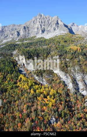 LUFTAUFNAHME. Herbstlaub am Fuße der Aiguille de Pelens (Höhe: 2523 Meter). Saint-Martin d'Entraunes, Alpes-Maritimes, Frankreich. Stockfoto