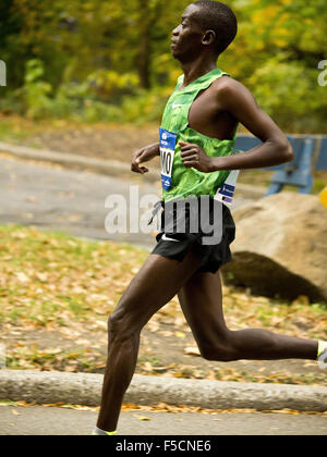 New York, New York, USA. 1. November 2015. New York City-Marathon. NYC Marathon, Central Park, New York, NY USA Credit: Frank Rocco/Alamy Live-Nachrichten Stockfoto