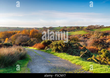 Ein Feldweg in der Nähe von Draynes in Cornwall Stockfoto