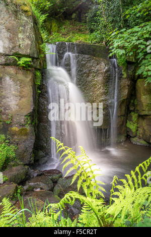 Lumsdale Wasserfälle, Matlock, Derbyshire. Stockfoto