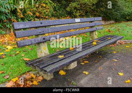 Nassen Holzbank in der Feuchtigkeit in einem Park im Herbst in England, Großbritannien. Stockfoto