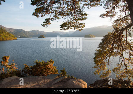 Brüder Crag ist berühmt für seine herrliche Aussicht über aussehende Derwentwater. Stockfoto