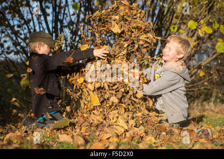 Zwei Kinder Jungs spielen, werfen Herbst fährt vom Stapel in den Garten, herbstliche Spaß, glücklich Stockfoto