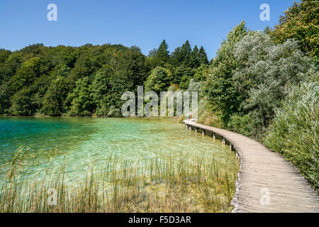 Hölzerne Pfad entlang Crave (oder Scheuern) See im Nationalpark Plitvice in Kroatien Stockfoto