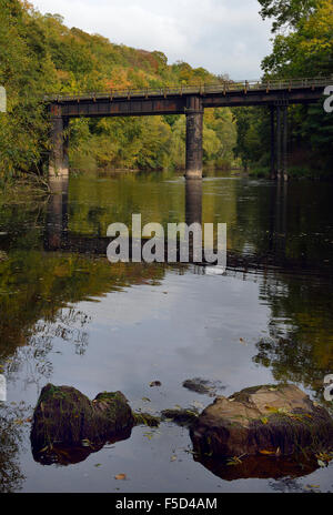 Stillgelegte Eisenbahnbrücke über den Fluss Wye Welsh Bicknor unteren Lydbrook verlinken Stockfoto