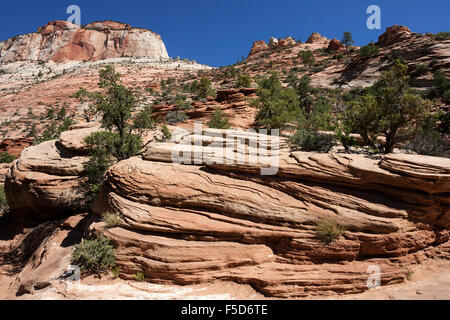 Sandstein-Felsformationen am Canyon Overlook Trail, Ost-Tempel hinten links, Zion Nationalpark, Utah, USA Stockfoto