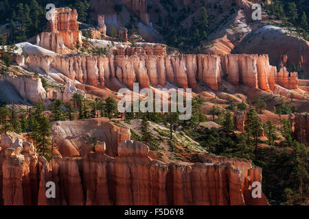 Blick auf farbigen Felsformationen, Feenkamine, Morgenlicht, Bryce-Canyon-Nationalpark, Utah, USA Stockfoto