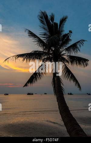 Palme vom Meer bei Sonnenuntergang, Südchinesisches Meer, Golf von Thailand, Koh Tao, Thailand Stockfoto