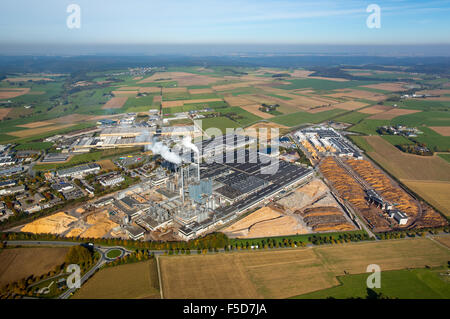 EGGER Holzwerkstoffe Brilon GmbH & Co.KG, engineered Wald, Brilon, Sauerland, Nordrhein-Westfalen, Deutschland Stockfoto