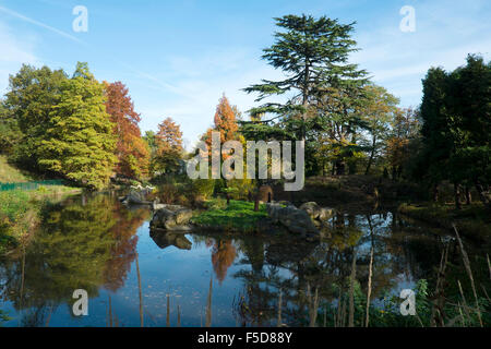 Die Dinosaur Park in Crystal Palace, London, Großbritannien Stockfoto