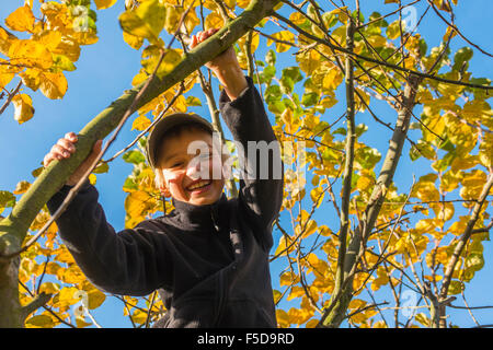 Kind Junge am Baum klettern, Sonnenschein, blauer Himmel Stockfoto