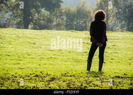 Wadhurst, UK. 1. November 2015. Herbst Farben dominieren die Wälder in der Nähe von Wadhurst, East Susse Credit: © Guy Bell/Alamy Live News Stockfoto