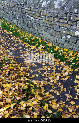 Herbstliche Weg in Bourton auf dem Wasser, Cotswolds, Gloucestershire, England Stockfoto