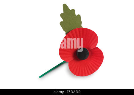 Mohn Stockfoto