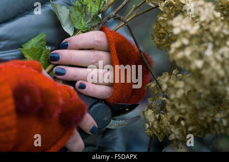 Trockenblumen In Händen Stockfoto