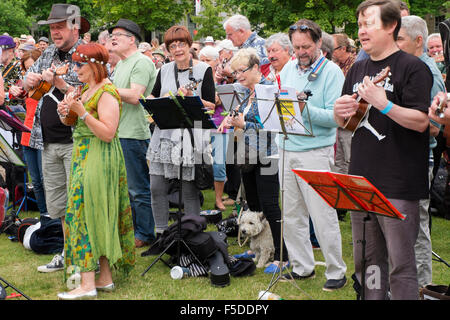 Menschen spielen Ukulelen an den grossen Busk, Teil der Ukulele Festival von Großbritannien in Cheltenham, Gloucestershire, Vereinigtes Königreich Stockfoto