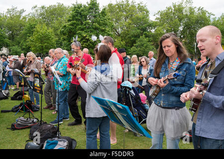 Menschen spielen Ukulelen an den grossen Busk, Teil der Ukulele Festival von Großbritannien in Cheltenham, Gloucestershire, Vereinigtes Königreich Stockfoto