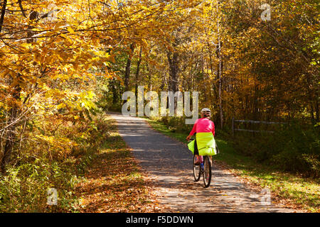 Eine Frau auf dem Stowe Erholung Weg im Herbst, Stowe, Vermont USA Neuengland Radsport Stockfoto