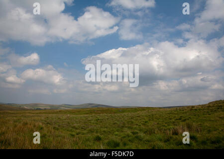 Leuchtende Tor von Shutlingsloe und Wildboarclough Macclesfield, Cheshire England Stockfoto