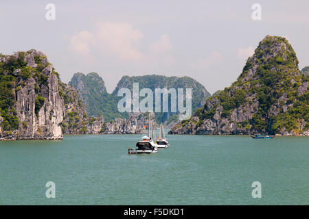 Bai Tu Long Bereich der Halong-Bucht im Osten Nordvietnam, mit schönen Kalksteininseln und stillen Wassern, Vietnam Stockfoto