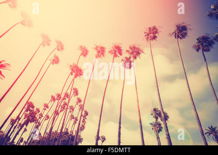 Retro-stilisierte Palmen Silhouetten bei Sonnenuntergang mit Flare-Effekt, Santa Monica, USA. Stockfoto
