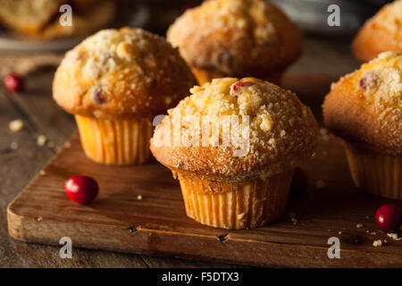 Frisch gebackene Muffins Cranberry essfertig Stockfoto