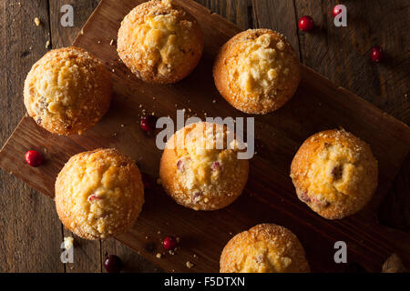 Frisch gebackene Muffins Cranberry essfertig Stockfoto