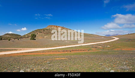 Panoramablick auf der langen Straße, karge steinige Landschaft & Hügel der Flinders Ranges National Park unter blauem Himmel im Outback South Australia Stockfoto