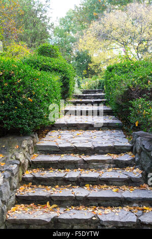 Steinerne Treppen im Central Park im Herbst Stockfoto