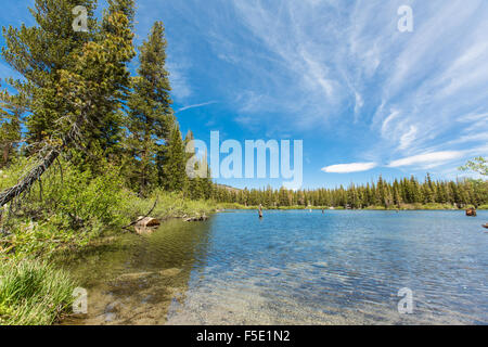 Küste bei Mammoth Lakes, Sierra Nevada, Kalifornien, USA Stockfoto