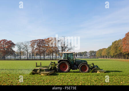 Traktor Mähen von Gras auf einer Wiese im Herbst in den Niederlanden Stockfoto