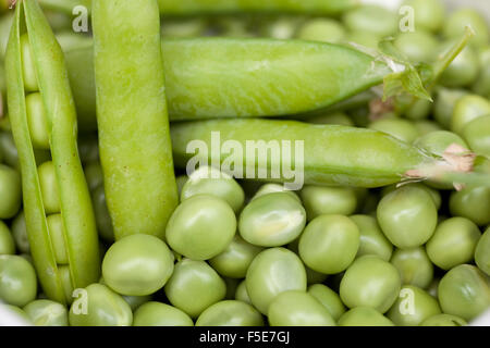 Frisch geerntete grüne Erbsen in offenen Hülsen Stockfoto