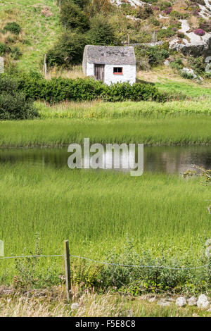 Kleine Gebäude am Mynydd Bodafon auf Anglesey North Wales Stockfoto