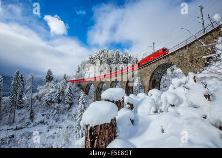 Bernina Express führt durch die verschneiten Wälder rund um Filisur, Kanton Graubünden (Graubünden), Schweiz, Europa Stockfoto