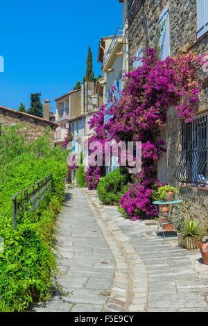 Gasse, Grimaud mittelalterlichen Dorf, Region Var, Provence-Alpes-Côte d ' Azur, Frankreich, Europa Stockfoto