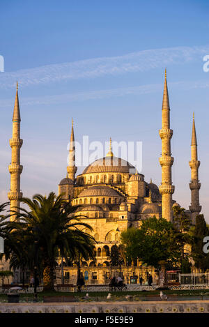 Blaue Moschee (Sultan Ahmed Mosque) (Sultan Ahmet Camii), UNESCO-Weltkulturerbe, kurz nach Sonnenaufgang, Istanbul, Türkei, Europa Stockfoto