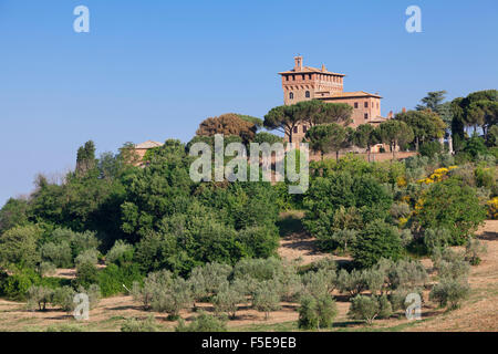 Palazzo Massaini, Pienza, Val d ' Orcia (Orcia-Tal), UNESCO-Weltkulturerbe, Provinz Siena, Toskana, Italien, Europa Stockfoto