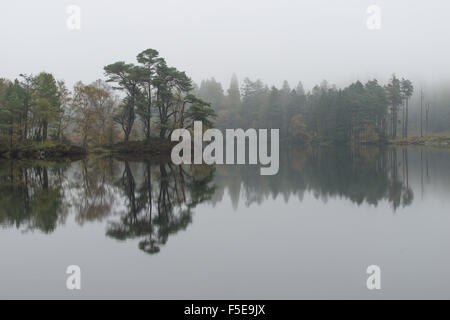 Der Blick von oben Tarn Hows in den Lake District National Park, Cumbria, England, Vereinigtes Königreich, Europa Stockfoto