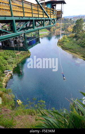 Person, die von der Gantry der Bungy Jump Company am Waikato River in der Nähe des Lake Taupo, Neuseeland, fällt Stockfoto