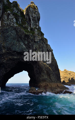 Loch In den Felsen, wo Touristenboote Touristen durch den Spalt, äußeren nehmen, Inseln Bucht der Inseln Northland Neuseeland Stockfoto