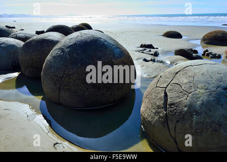 Riesige kugelförmige Felsblöcke 'Moeraki Boulders' am Koekohe Beach sind an der Küste von Otago zwischen Moeraki und Hampden, South Island, NZ verstreut Stockfoto