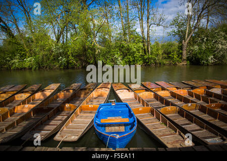 Bootfahren, Cherwell Bootshaus, Oxford, Oxfordshire, England, Vereinigtes Königreich, Europa Stockfoto
