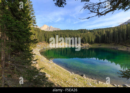 Bäume spiegeln sich in den grünen Wassern des Sees Carezza, Rosengarten Gruppe, Süd-Tirol-Trentino-Südtirol, Dolomiten, Italien Stockfoto