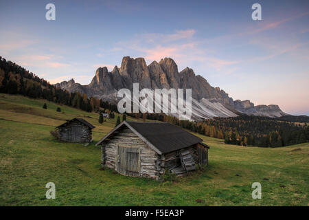 Das frühe Morgenlicht leuchtet Malga Zannes und Geisler im Hintergrund, Villnösser Tal, Südtirol, Dolomiten, Italien, Europa Stockfoto