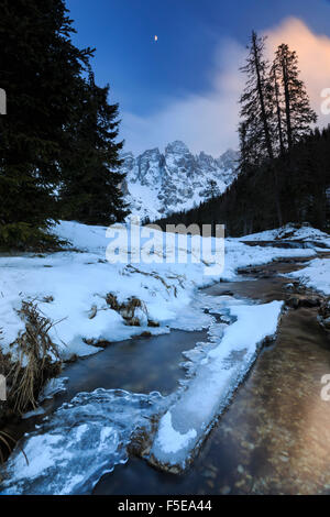 Einen gefrorenen Bach unter einer kalten Winterhimmel, Venagia Tal, Naturpark Panaveggio, Dolomiten, Trentino-Alto Adige, Italien, Europa Stockfoto