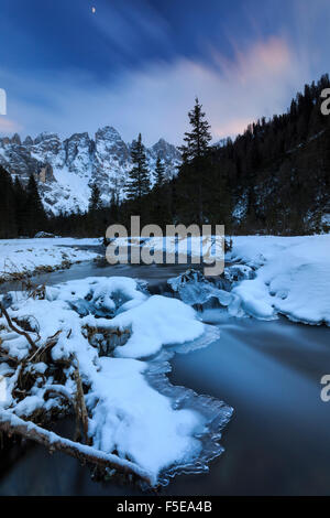 Einen gefrorenen Bach unter einer kalten Winterhimmel, Venagia Tal, Naturpark Panaveggio, Dolomiten, Trentino-Alto Adige, Italien, Europa Stockfoto