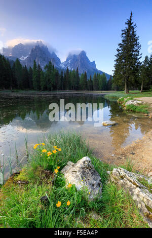 Cadini di Misurina Konzerns spiegelt sich im See Antorno bei Sonnenaufgang, Auronzo Cadore, Veneto Sextner Dolomiten, Italien, Europa Stockfoto