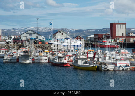 Angelboote/Fischerboote im Hafen von Patreksfjörður, Westfjorde, Island, Polarregionen Stockfoto