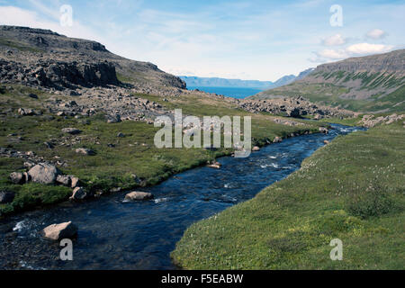 Fluss in den Fjord, in die Westfjorde Islands, Polarregionen Stockfoto